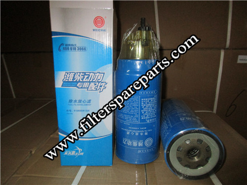 612600081335 Weichai Fuel Filter